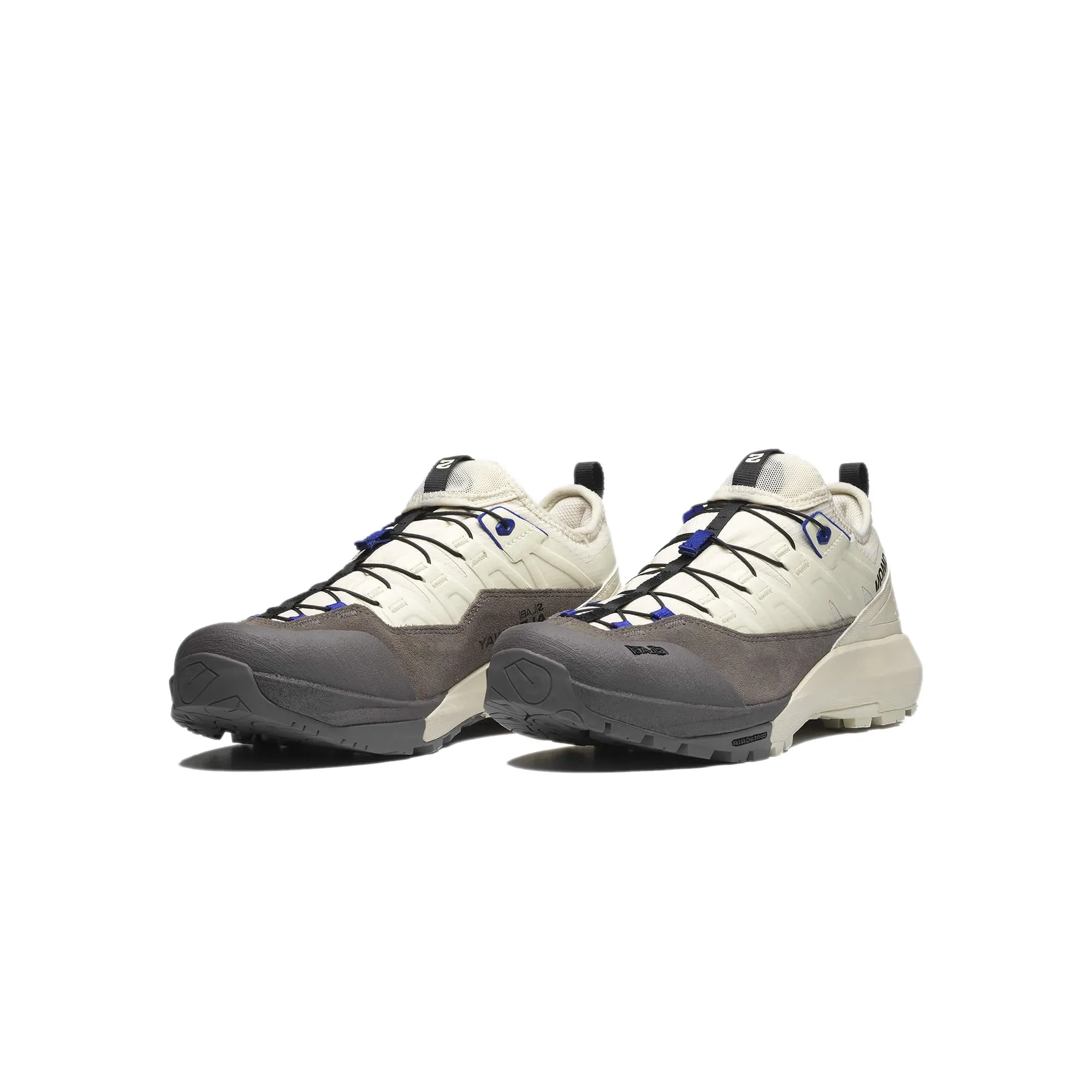 Salomon Mens Alpinway Advanced Shoes